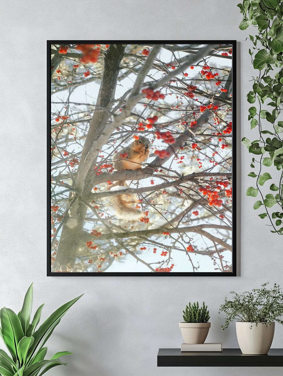 Winter Squirrel in Berry Tree Poster. — room view 4