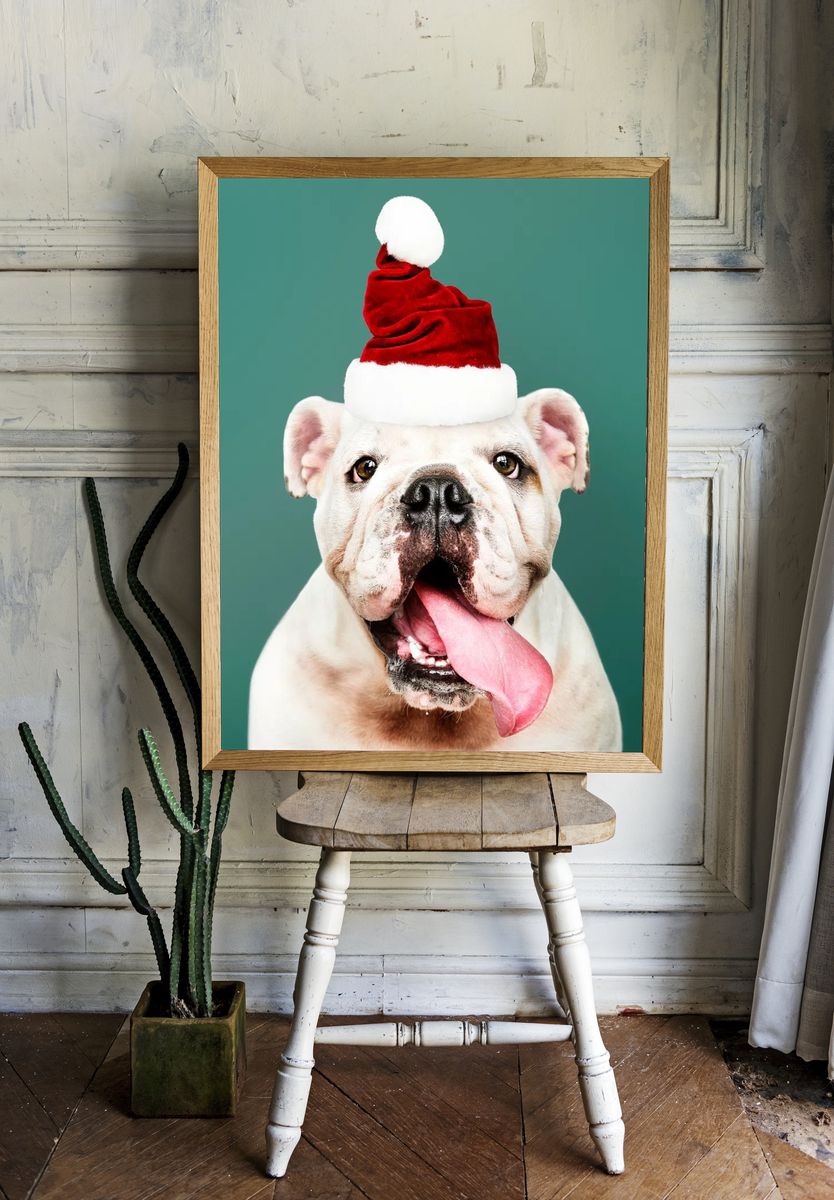 Bulldog Santa Hat Portrait Print. — room view 1