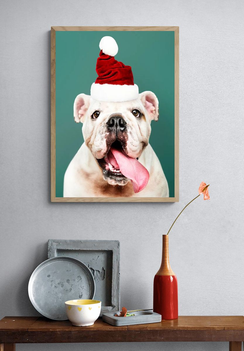 Bulldog Santa Hat Portrait Print. — room view 3