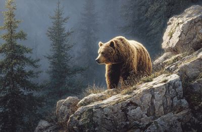 Grizzly Bear on Rocky Cliff Print. poster print