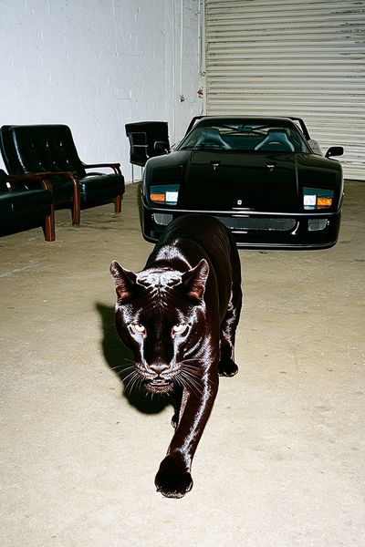 Black Panther Garage Portrait Poster. poster print