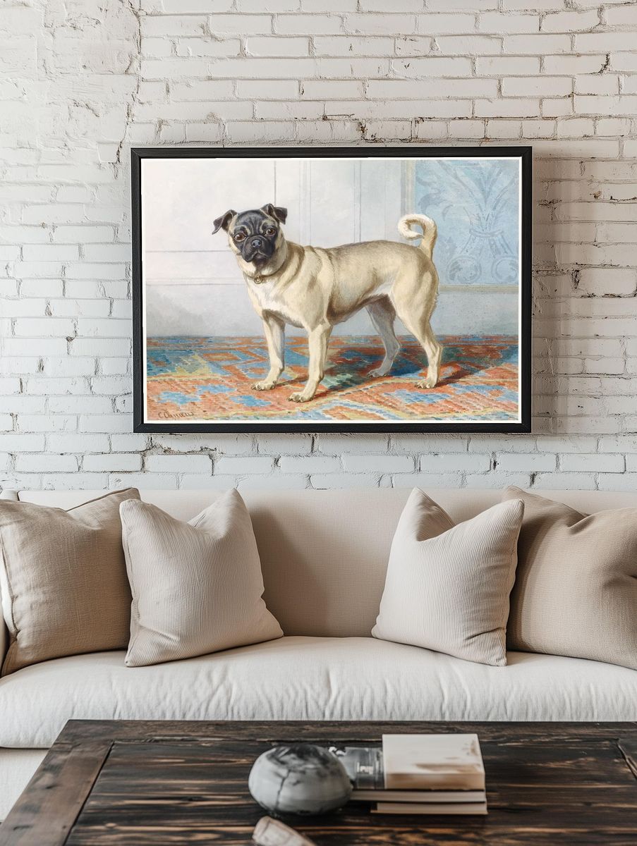 Portrait Edwin Vom Rath’s Pug. — room view 1