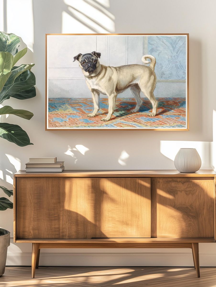 Portrait Edwin Vom Rath’s Pug. — room view 3