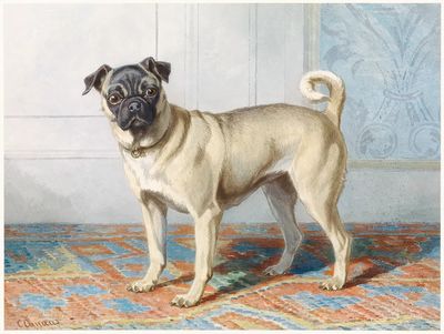 Portrait Edwin Vom Rath’s Pug. poster print