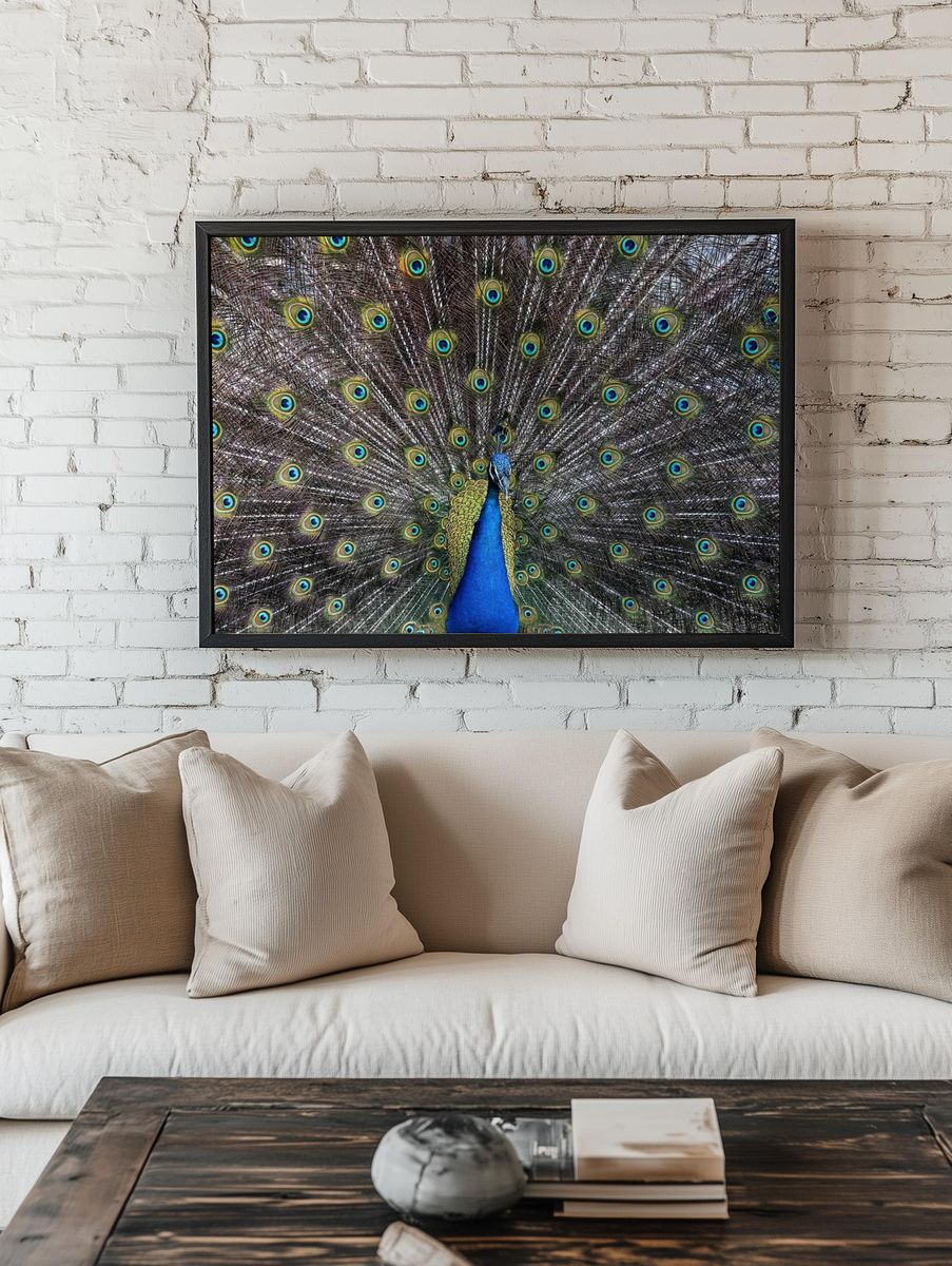 Peacock Plumage Illustration Poster. — room view 1