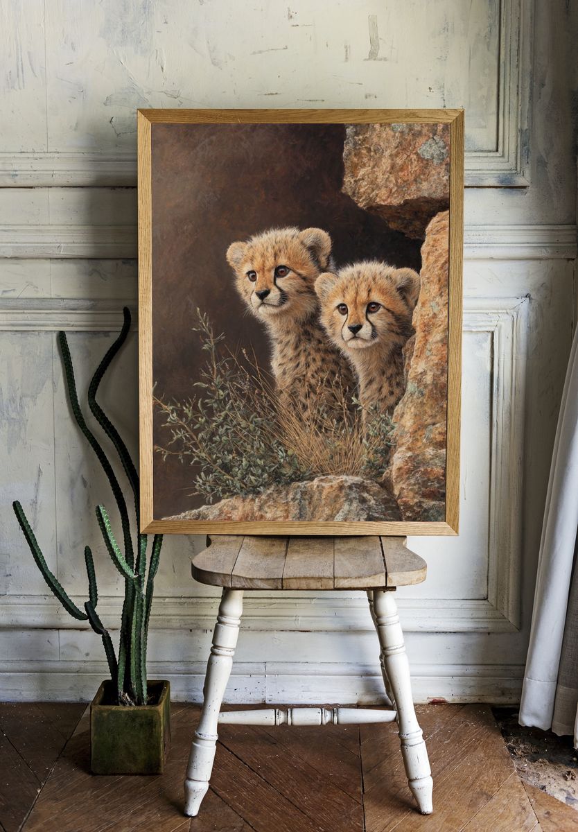 Cheetah Cubs in Rock Shelter Print. — room view 1