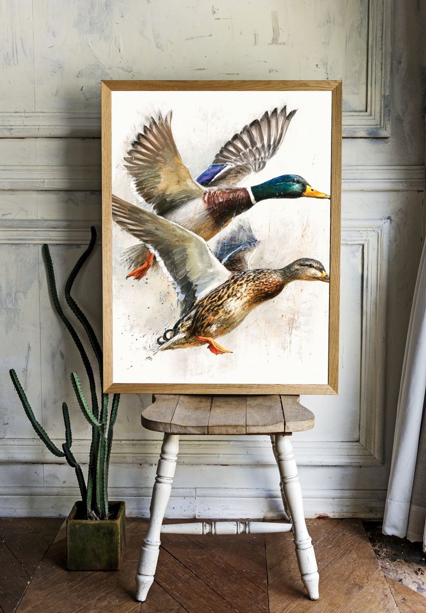 Flying Ducks Watercolor Print. — room view 1