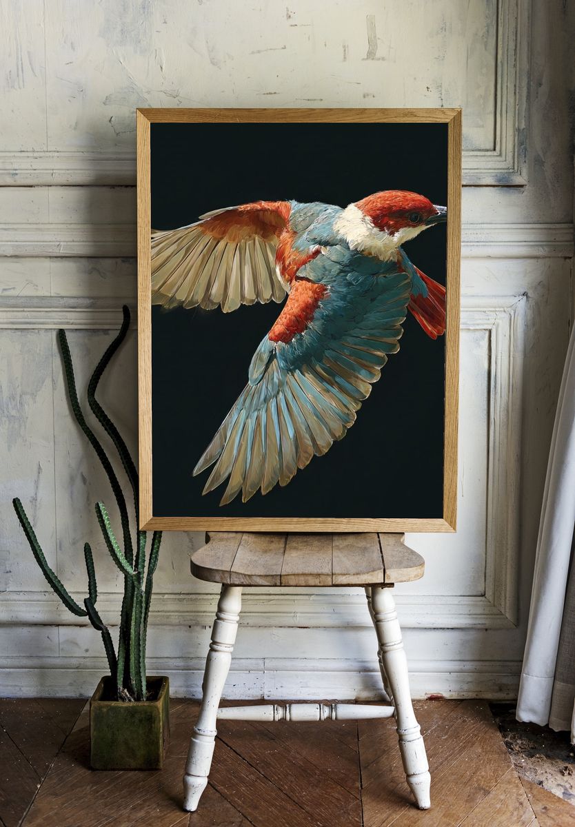 Red-Capped Bird in Flight Print. — room view 1
