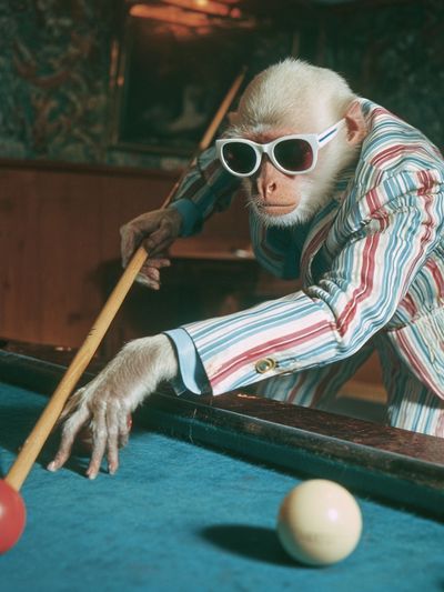 Cool Monkey Pool Hall Poster. poster print