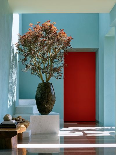 Modern Interior with Bonsai Poster.