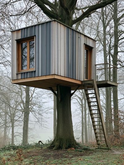Treehouse in Misty Forest Poster.