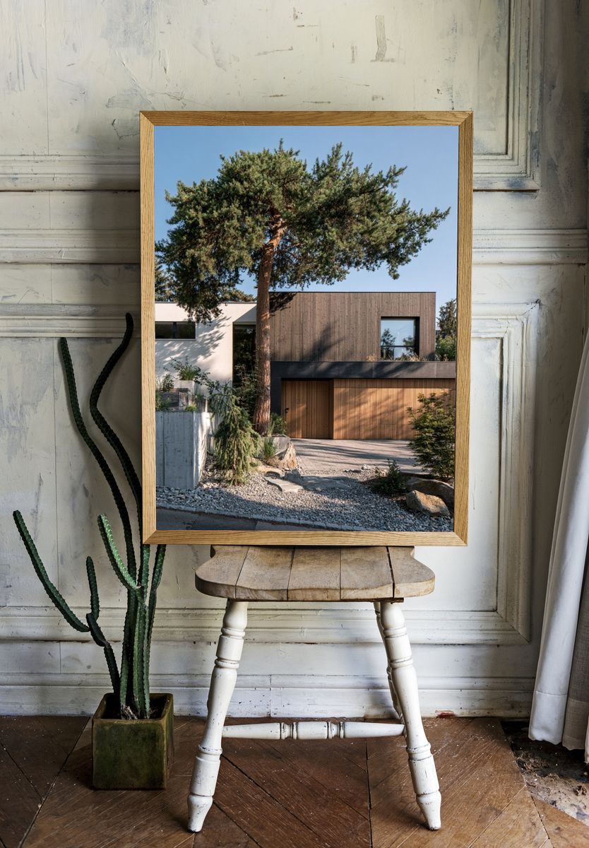 Modern House in Pines Photography Poster. room preview