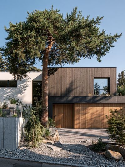 Modern House in Pines Photography Poster.