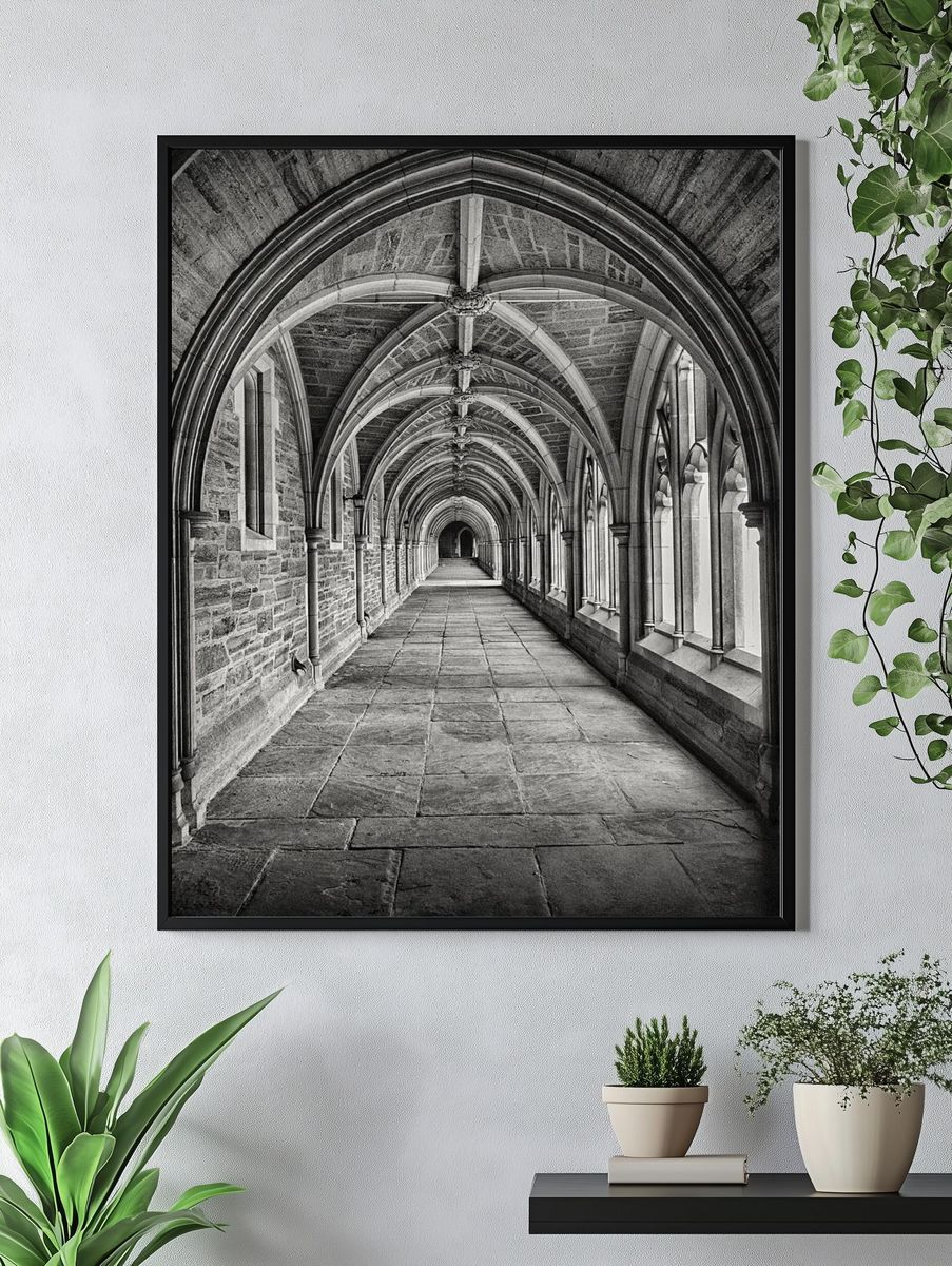 Corridor black white. — room view 4