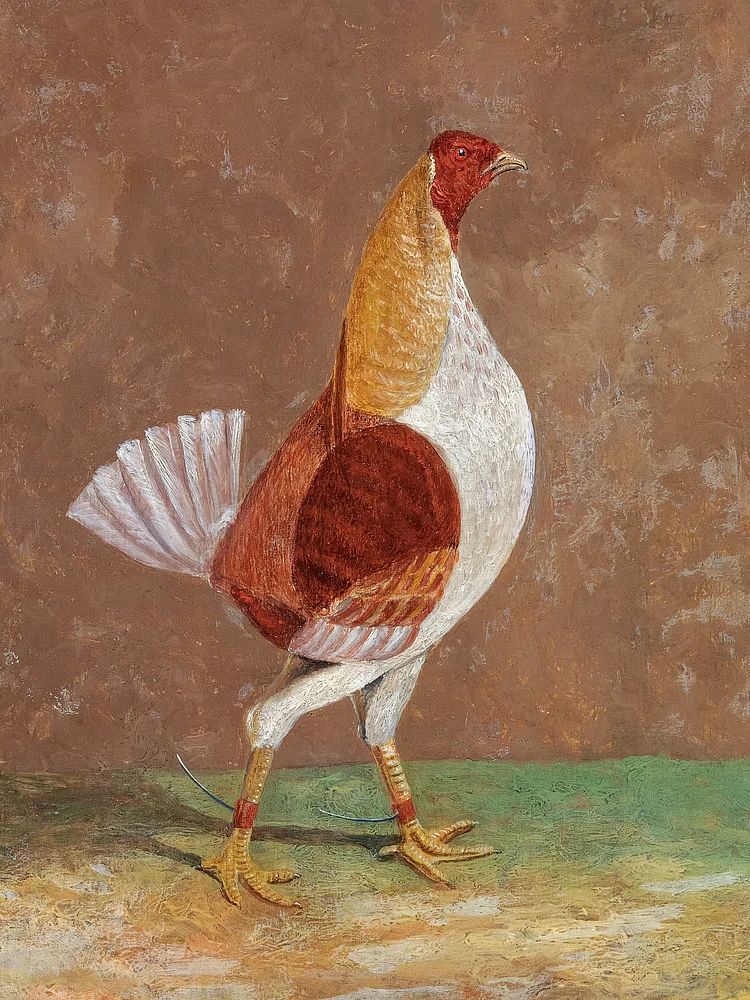 Elegant Rooster — Fine Art Print. poster detail