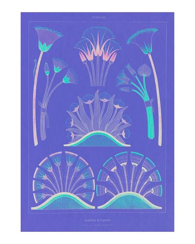 Purple Egyptian plants flowers vintage. poster