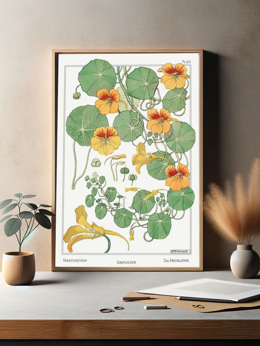Capucine (Nasturtium) by Maurice Pillard Verneuil (1896) — Art Print. — room view 2