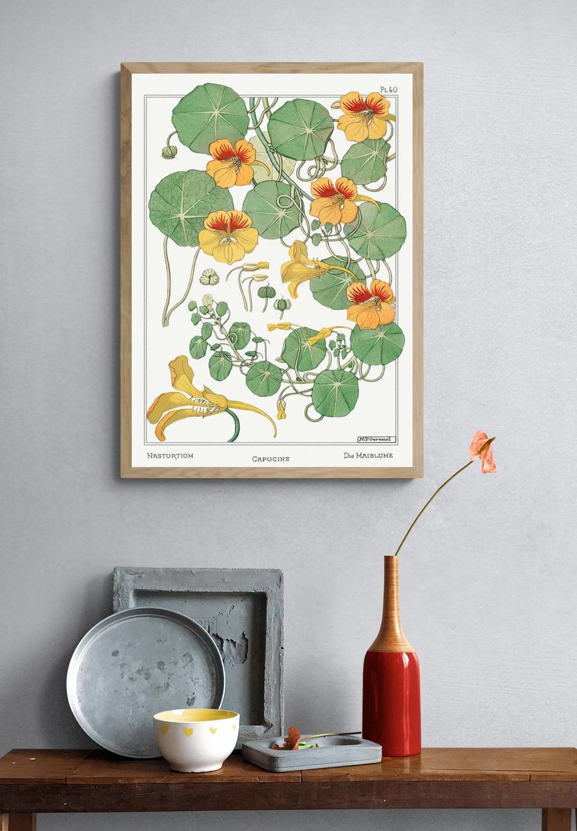 Capucine (Nasturtium) by Maurice Pillard Verneuil (1896) — Art Print. — room view 3