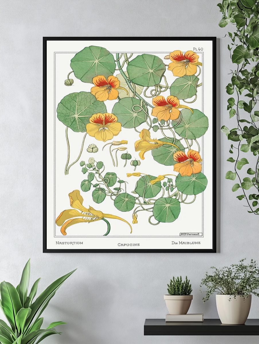 Capucine (Nasturtium) by Maurice Pillard Verneuil (1896) — Art Print. — room view 4