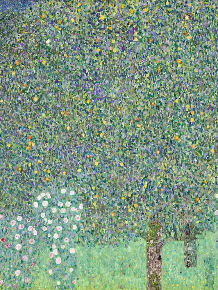 Rosebushes under the Trees by Gustav Klimt (1905) — Art Print. poster — fine-art art