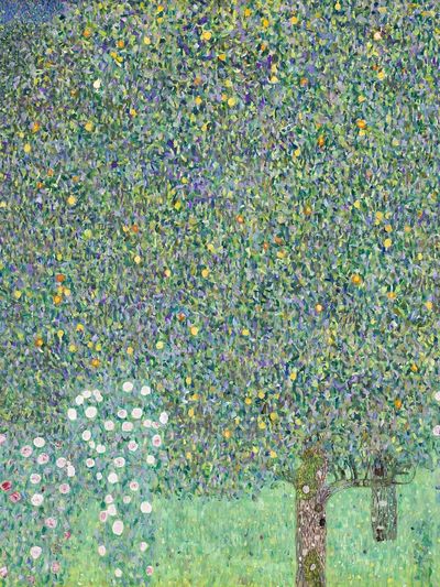 Rosebushes under the Trees by Gustav Klimt (1905) — Art Print. poster