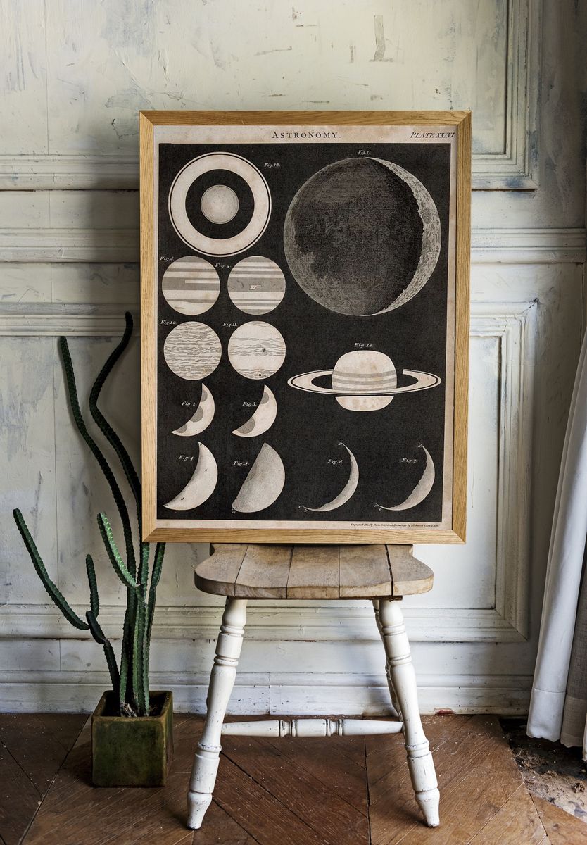 Astronomy Celestial Bodies Poster. room preview