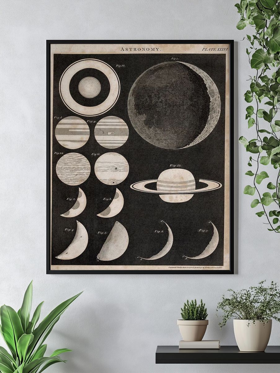 Astronomy Celestial Bodies Poster. — room view 4