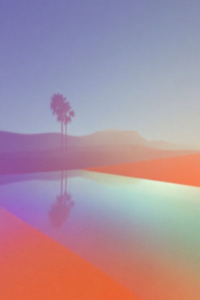 Palm Tree Reflection — Abstract Print. poster