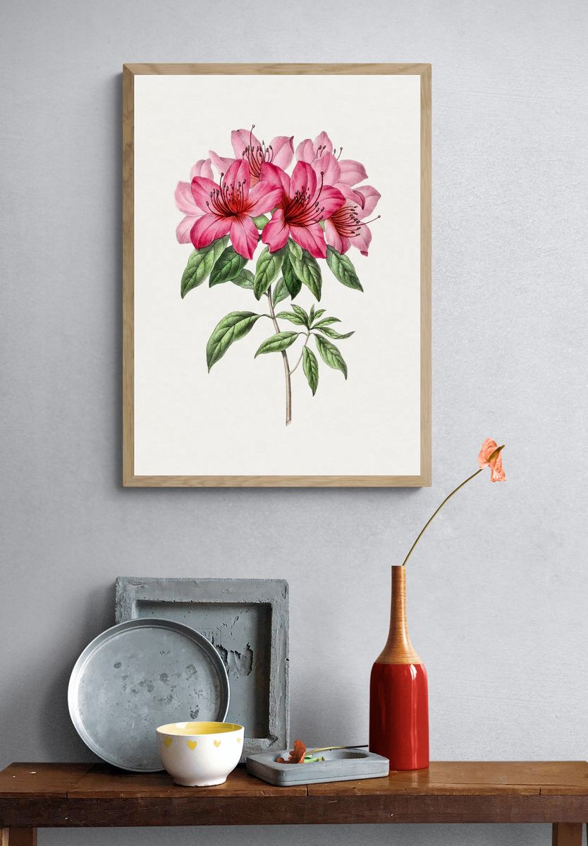 Pink Azalea Botanical Print. — room view 3