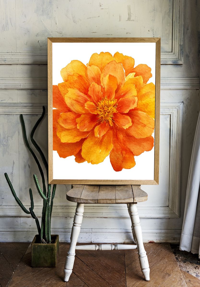 Vibrant Orange Flower — Watercolor Print. — room view 1