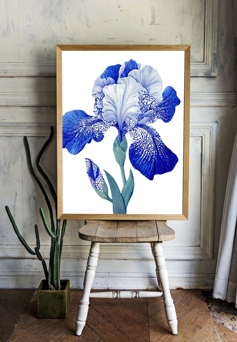 Blue Iris Botanical Print. — room view 1
