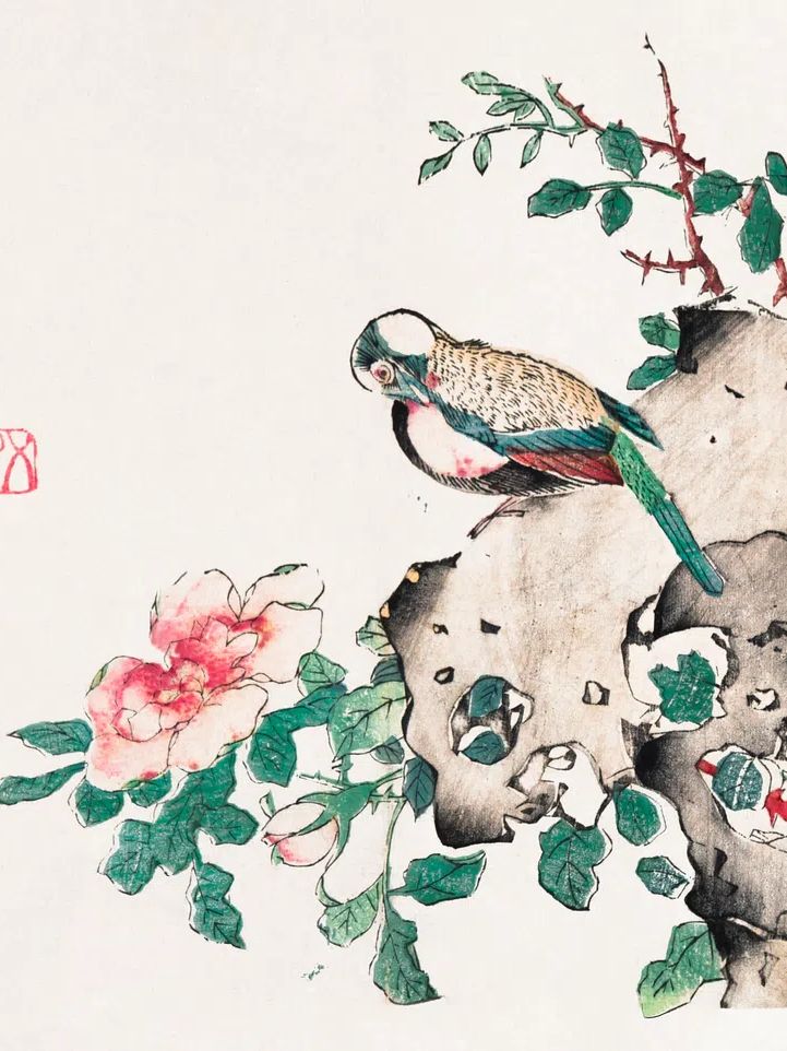 Colorful Bird and Flower — Illustration Print. poster — illustration art
