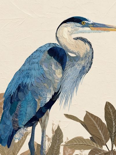 Blue Heron — Illustration Print. poster print