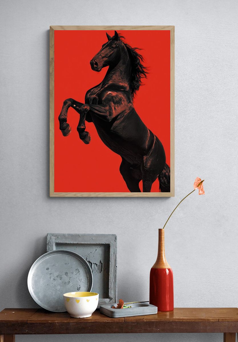 Majestic Black Horse — Photography Print. — room view 3