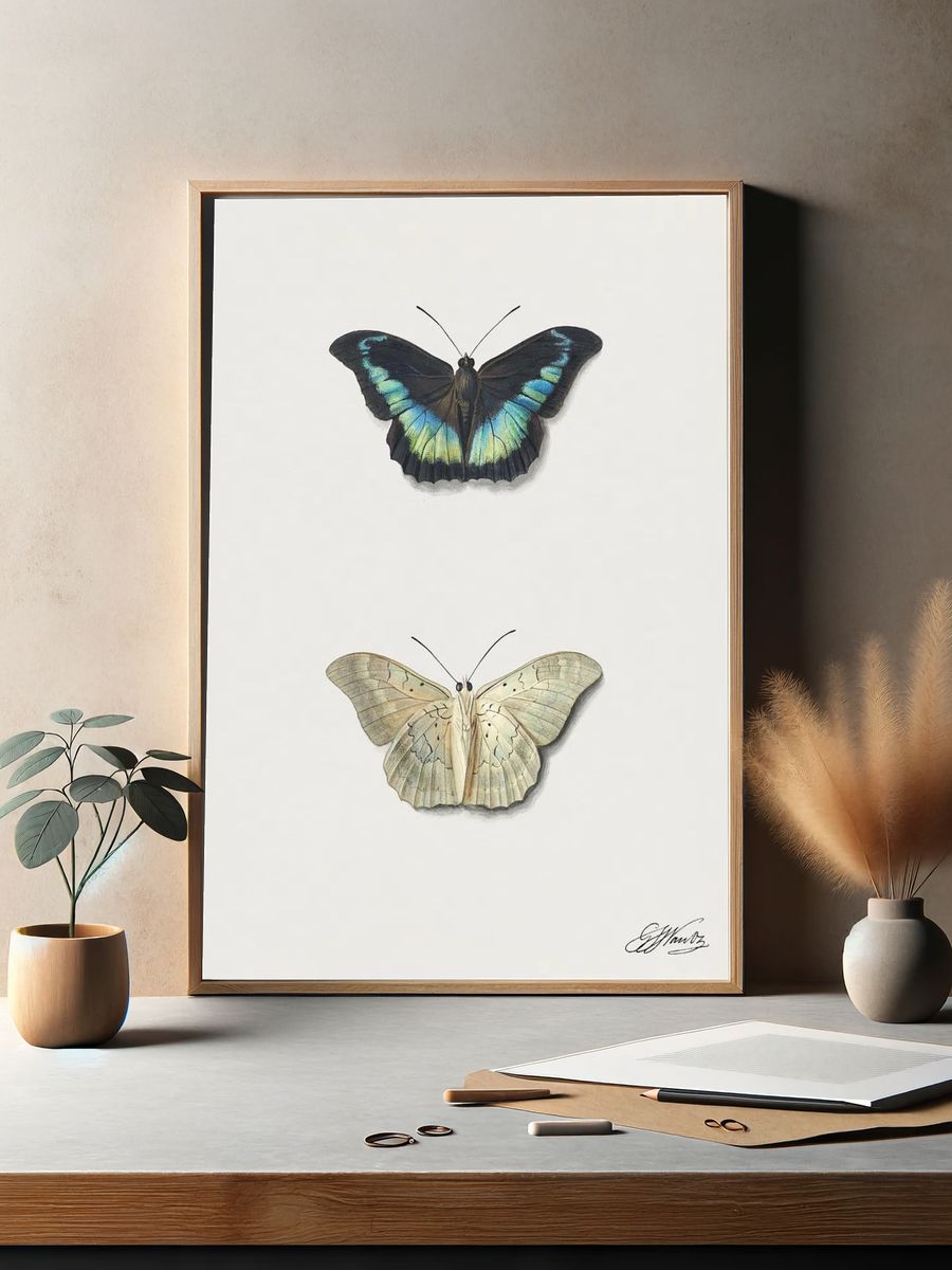 Butterfly Illustration Poster. — room view 2