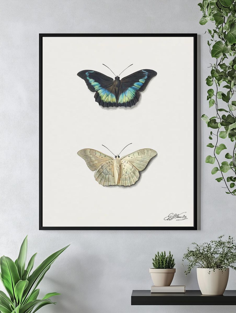 Butterfly Illustration Poster. — room view 4