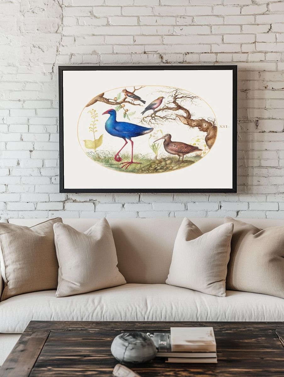 Colorful Birds in Nature — Vintage Print. — room view 1