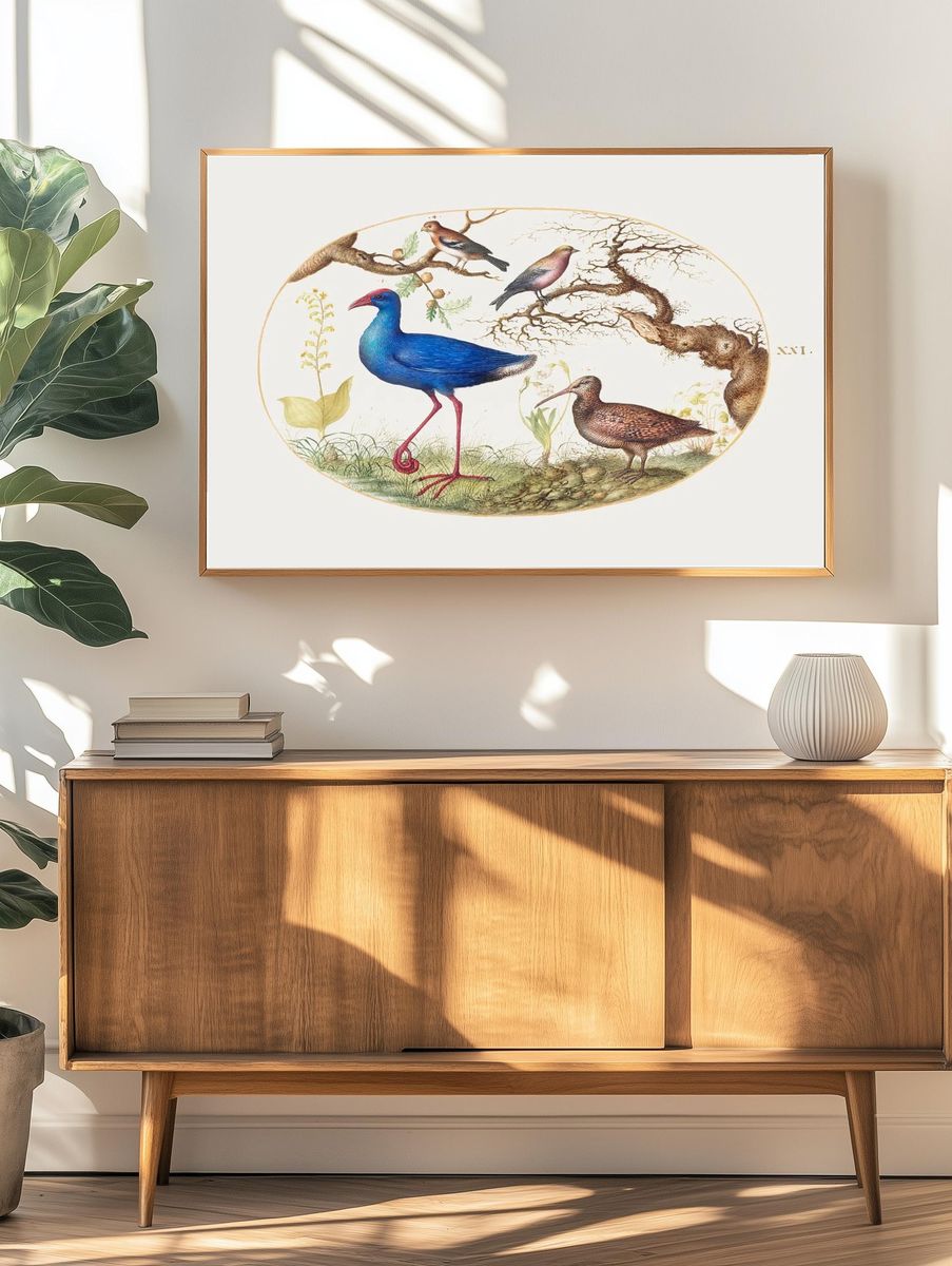 Colorful Birds in Nature — Vintage Print. — room view 3