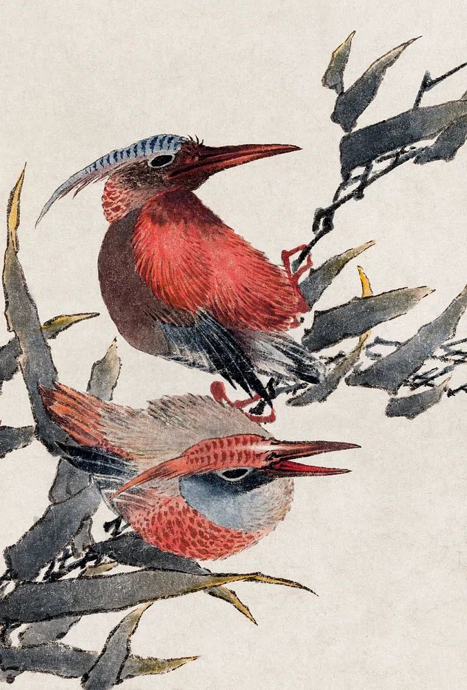 Colorful Birds on Branch — Illustration Print. poster — illustration art
