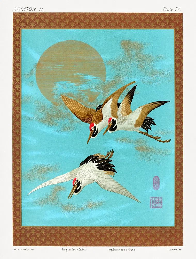 Three Sarus Cranes by G.A. Audsley — Art Print. poster — animals art