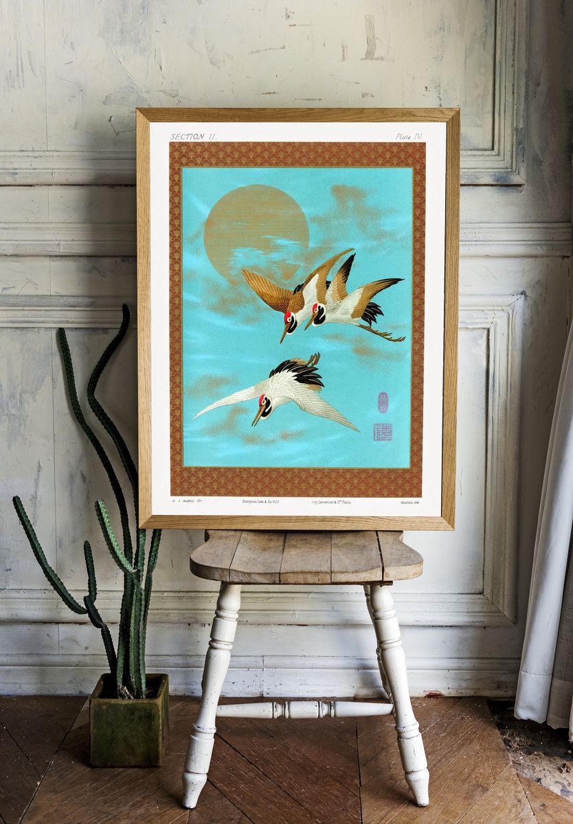 Three Sarus Cranes by G.A. Audsley — Art Print. — room view 1
