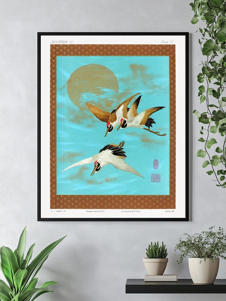 Three Sarus Cranes by G.A. Audsley — Art Print. — room view 4