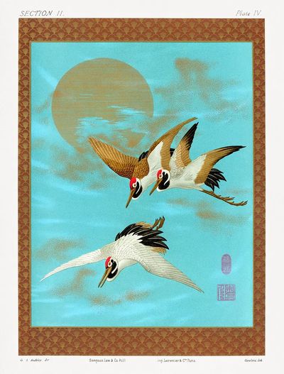 Three Sarus Cranes by G.A. Audsley — Art Print. poster