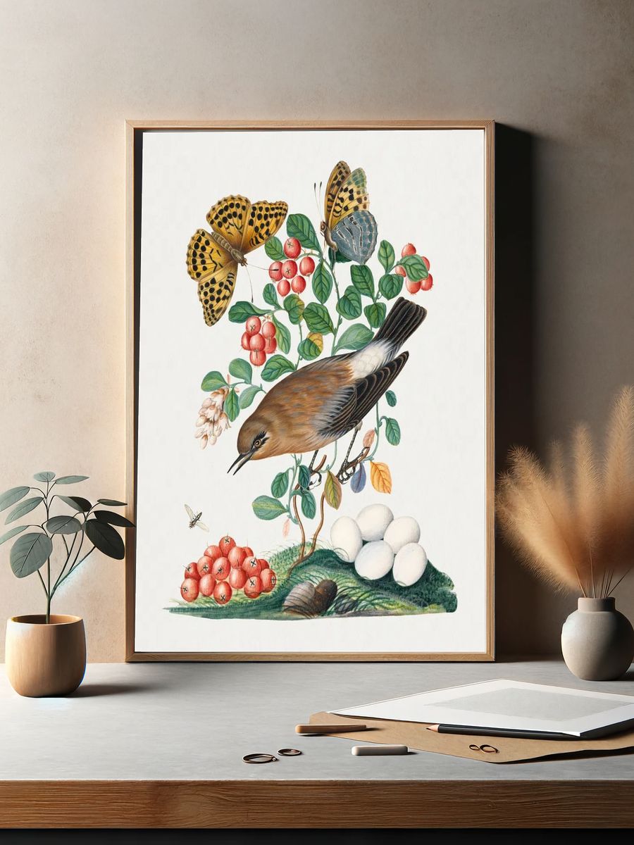 Northern Wheatear and Silver-washed Fritillary — Art Print. — room view 2