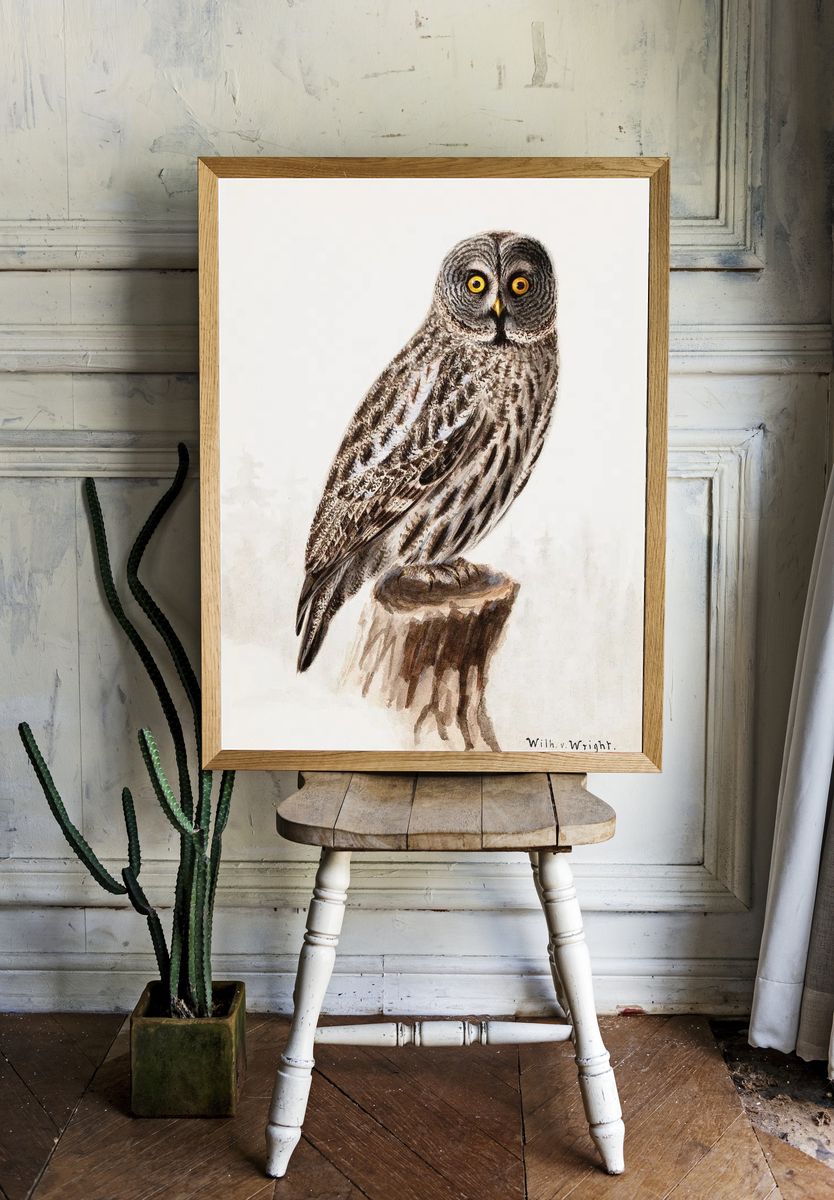 Great grey owl, 1830 - 1870, Wilhelm von Wright — Art Print. — room view 1