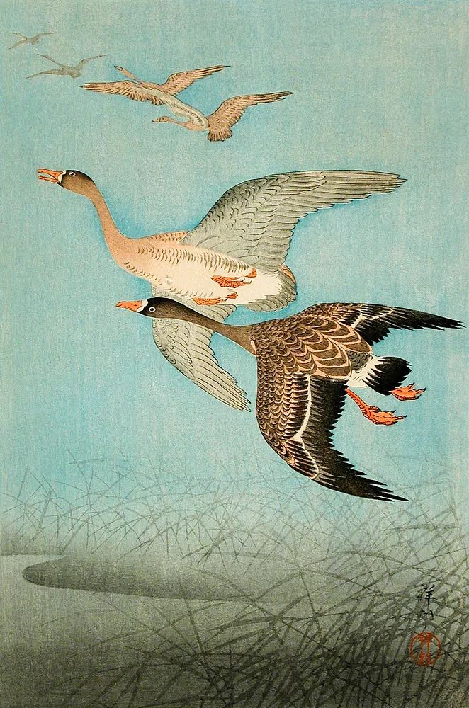 Flying Geese by Ohara Shoson — Art Print. poster detail