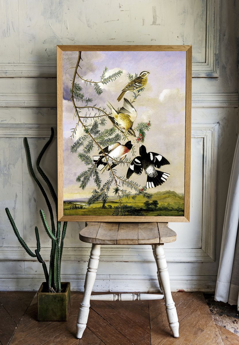 Rose-Breasted Grosbeak by Joseph Bartholomew Kidd — Art Print. — room view 1