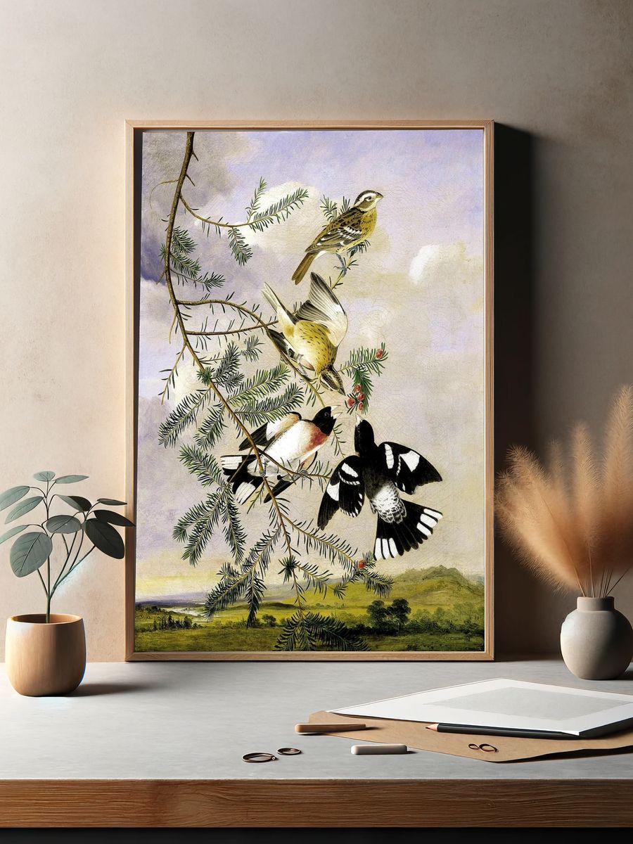 Rose-Breasted Grosbeak by Joseph Bartholomew Kidd — Art Print. — room view 2