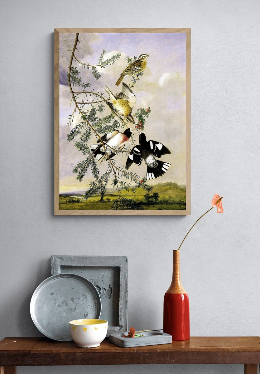 Rose-Breasted Grosbeak by Joseph Bartholomew Kidd — Art Print. — room view 3