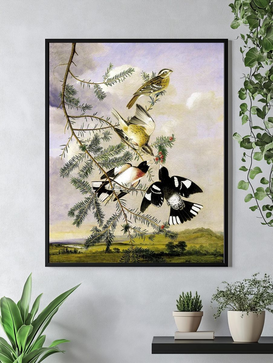Rose-Breasted Grosbeak by Joseph Bartholomew Kidd — Art Print. — room view 4